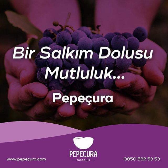 Pepecura Bodrum Exterior photo
