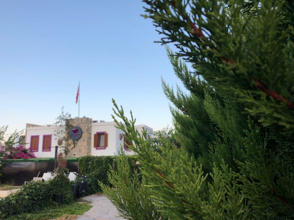 Pepecura Bodrum Exterior photo